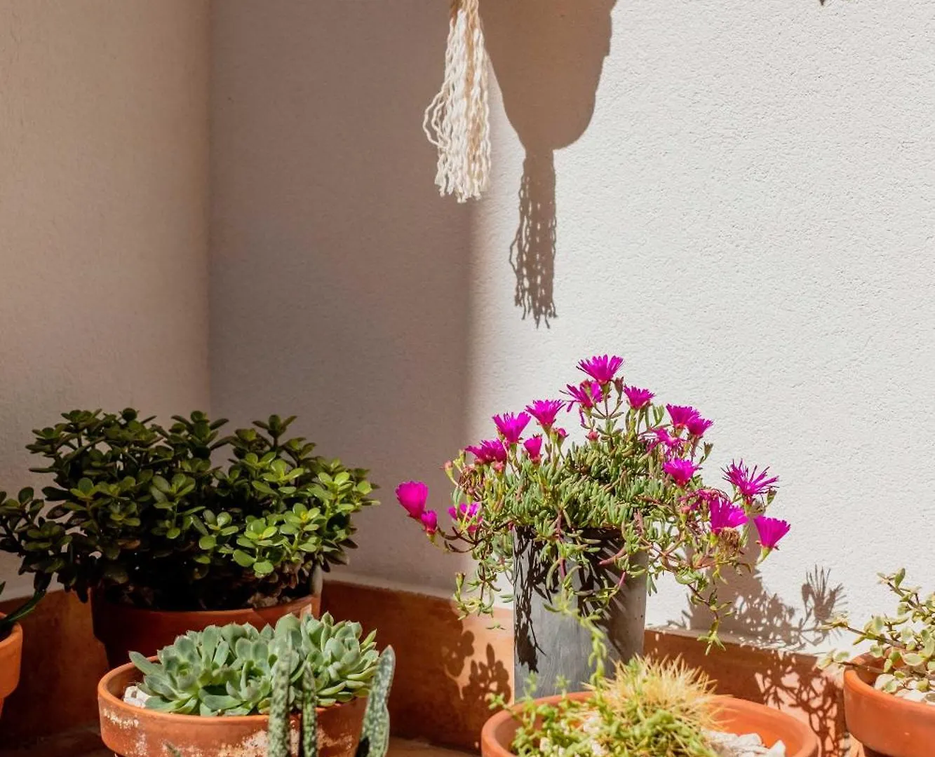Casa Creativa Lagos