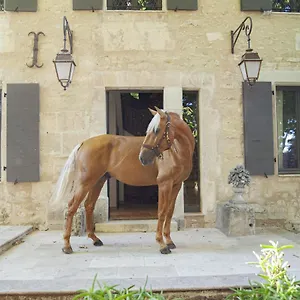  Bed & Breakfast Domaine Cap Rubis France
