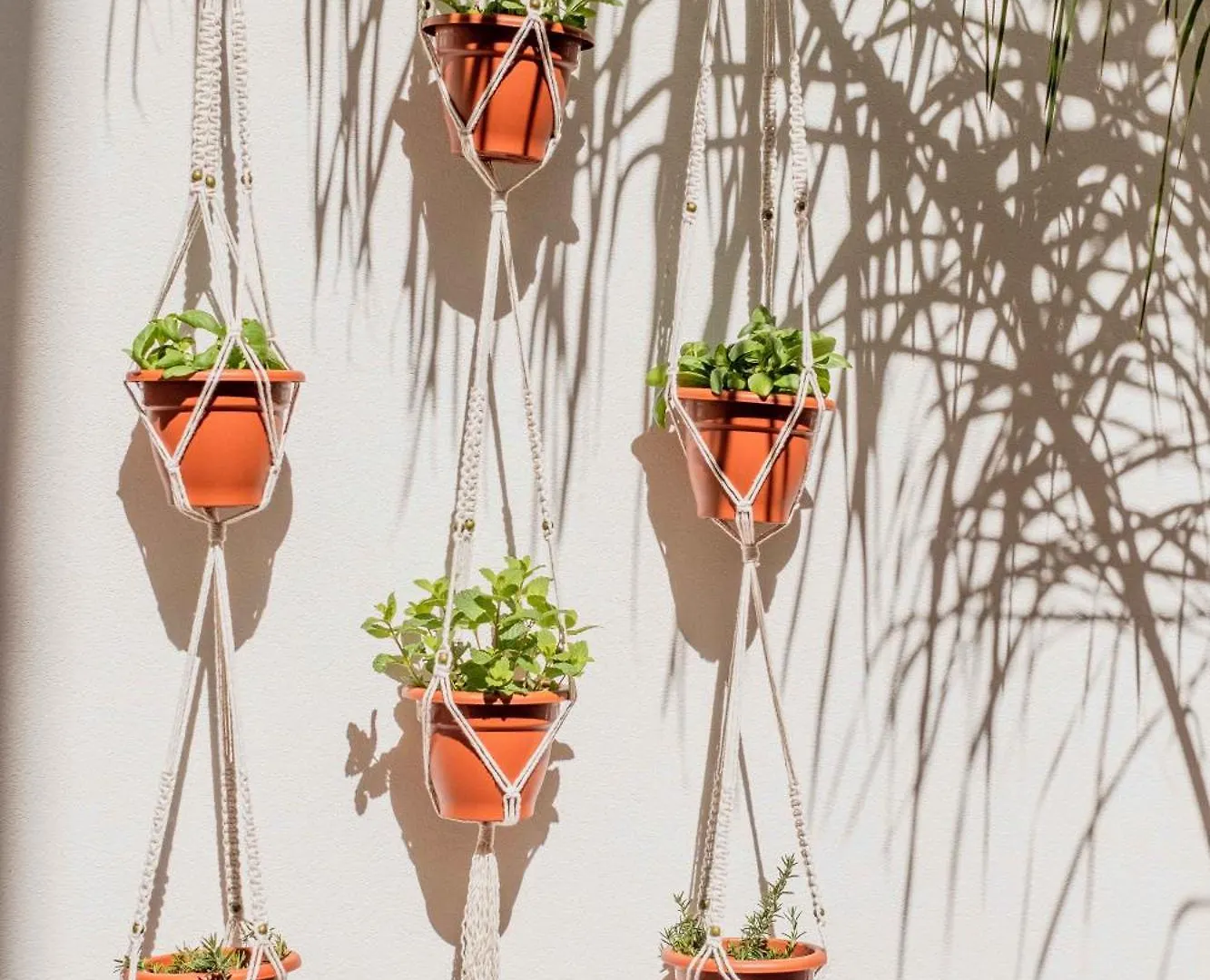 بيت ضيافة Casa Creativa لاغوس البرتغال